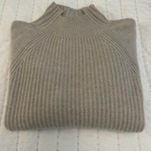 EVERLANE Cashmere Ribbed Turtleneck - Worn Once!
